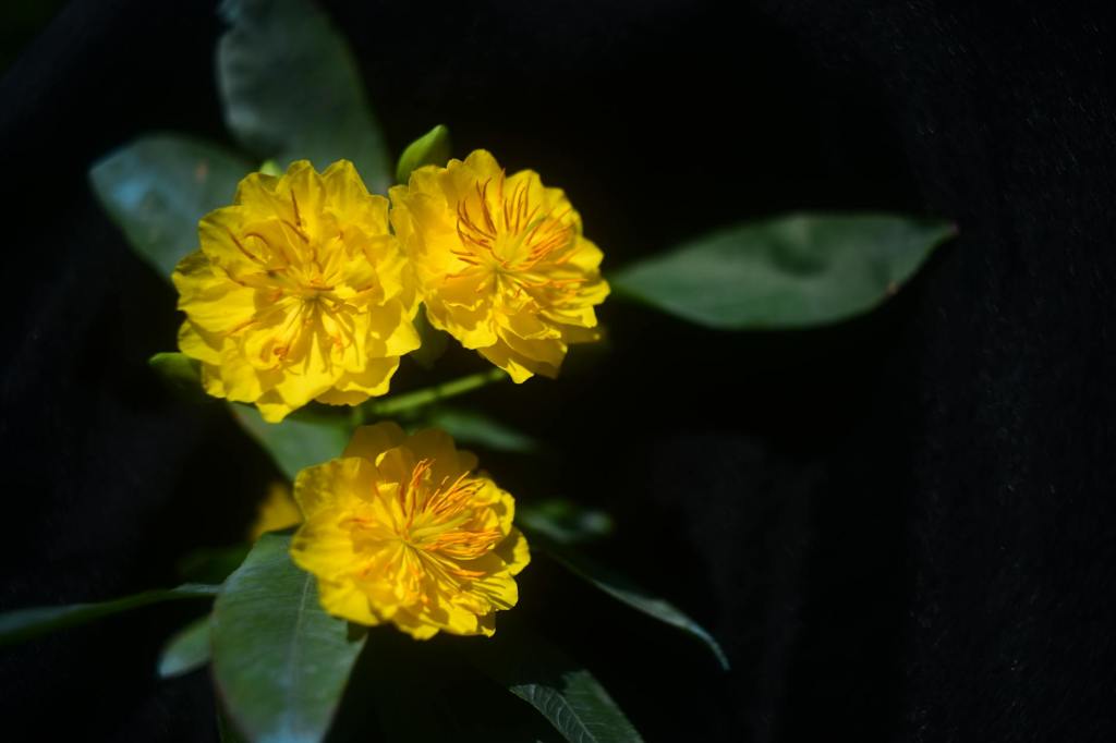 Allah’a hamd olsun.