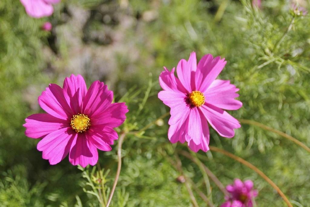 Ahlakın En İyisi için&nbsp;Dua