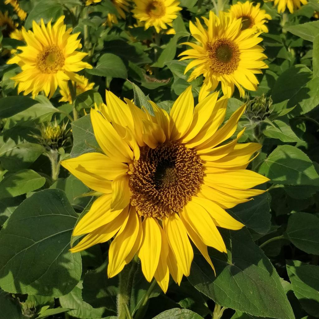 Yaptığımız ve Yapacağımız İşlerden Sığınma&nbsp;Duası