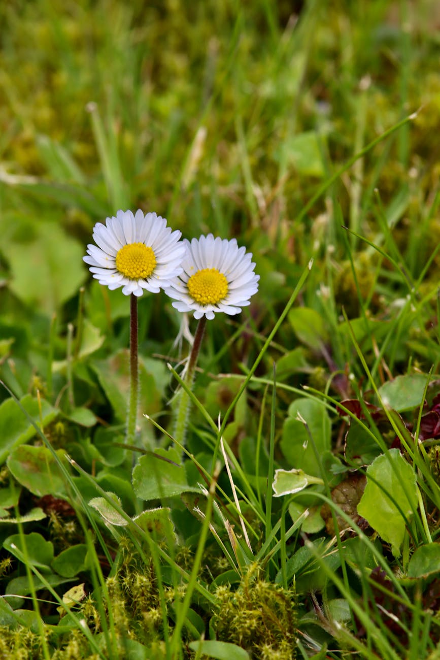 Uyku Arası Uyandığında Okunacak&nbsp;Dua