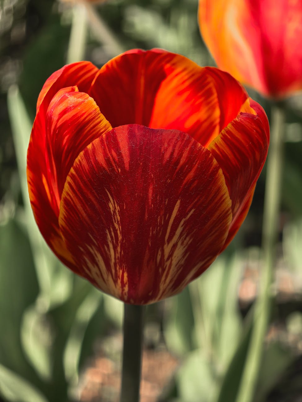 Temiz Bir Ölüm ve Düzgün Bir Yaşantı için&nbsp;Dua
