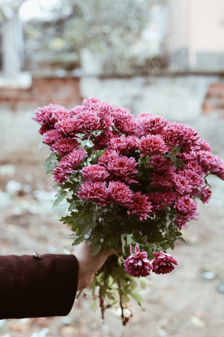 Dünyada Rezil Olmaktan Sığınma&nbsp;Duası
