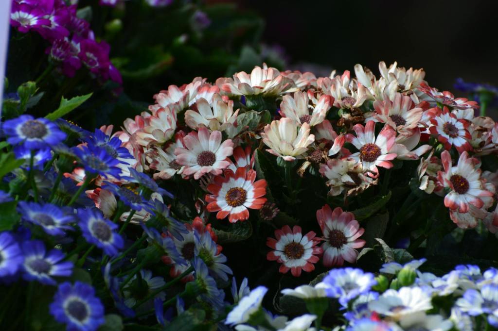 Nefsimizin Takvası İçin&nbsp;Dua