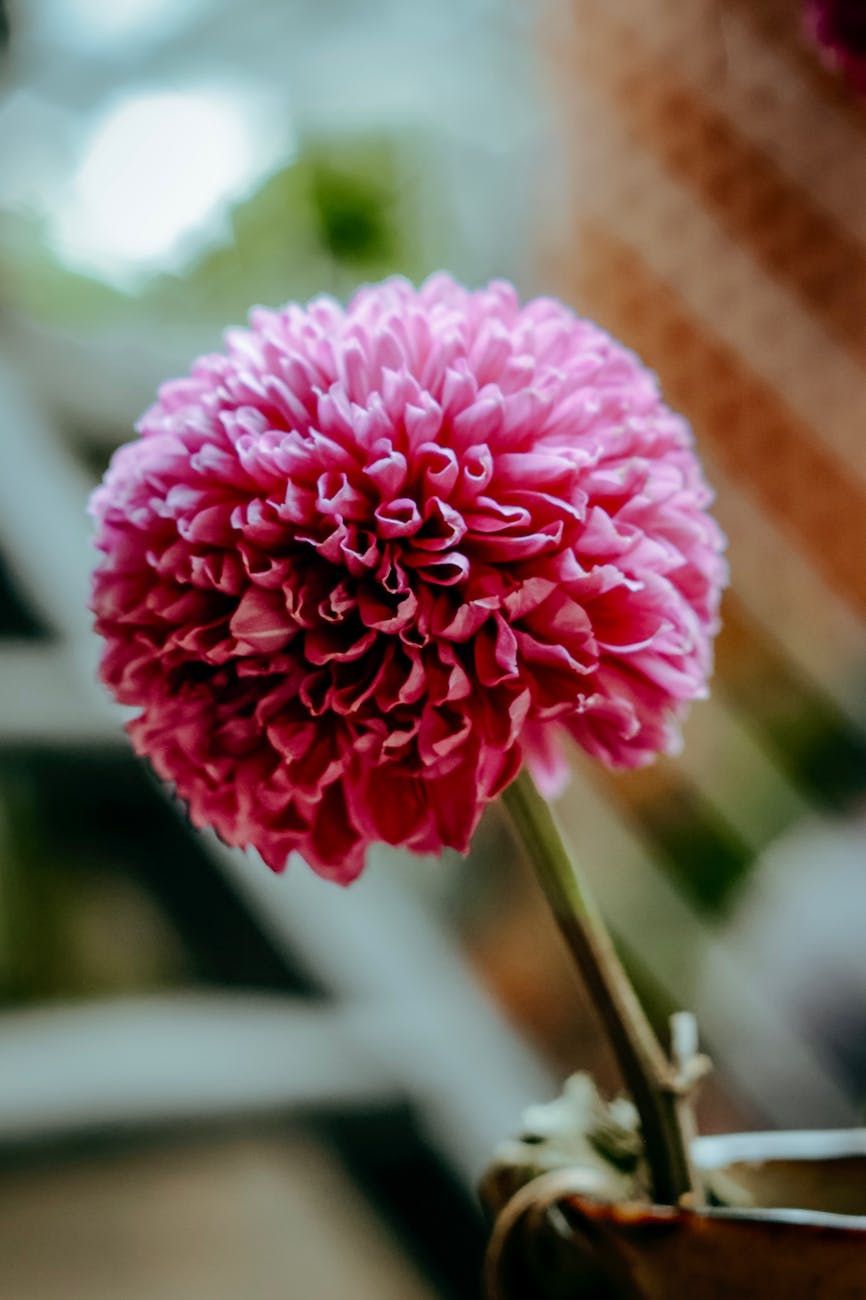 Sabah akşam Rablerinin rızâsını&nbsp;dileyerek