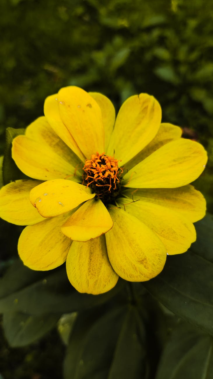 Gizli ve Açık Günahlar için&nbsp;Dua