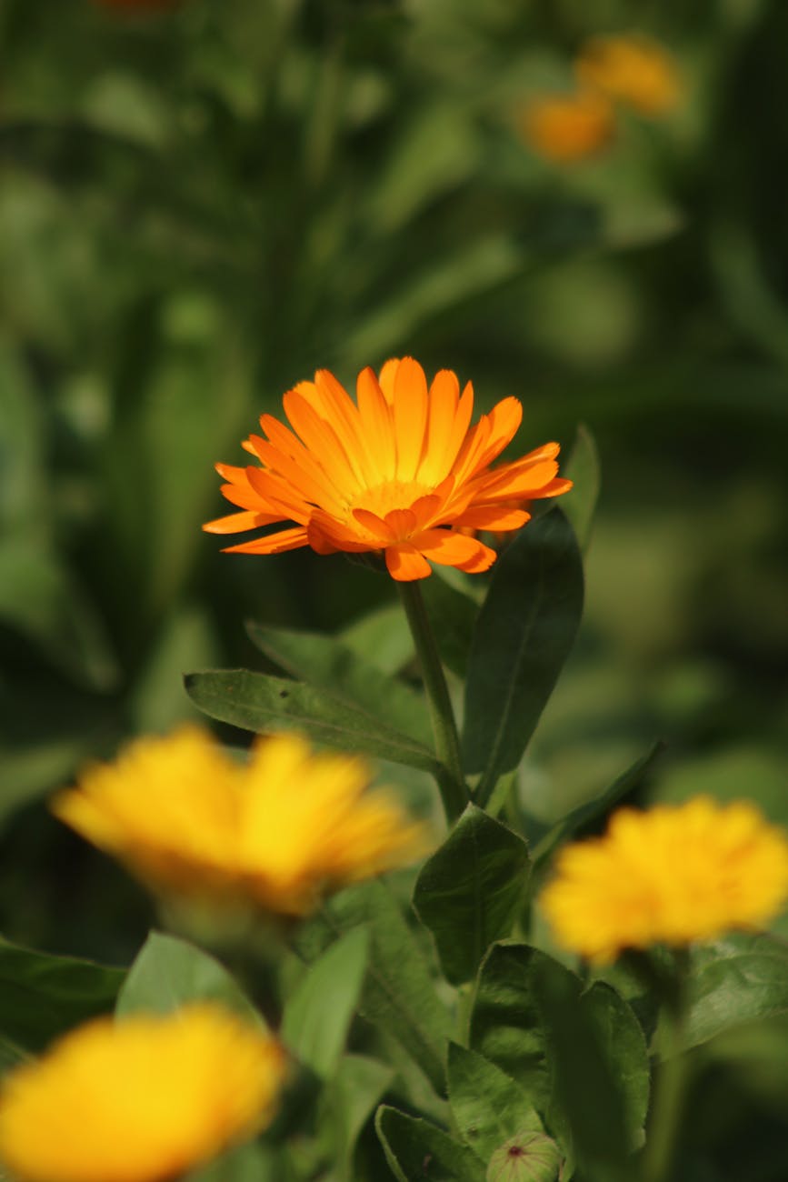 Gerçek dua ve&nbsp;ibâdet